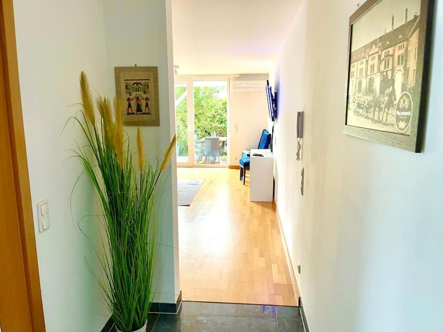 Schoene Wohnung Mit Eigenen Eingang Und Terrasse Gosseling 外观 照片